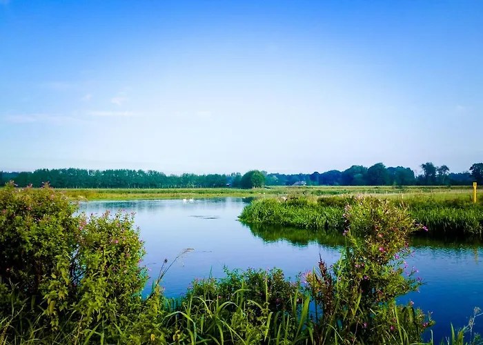 Dom wakacyjny Eco - Airco & Panoramisch Uitzicht - Achterhoek Almen